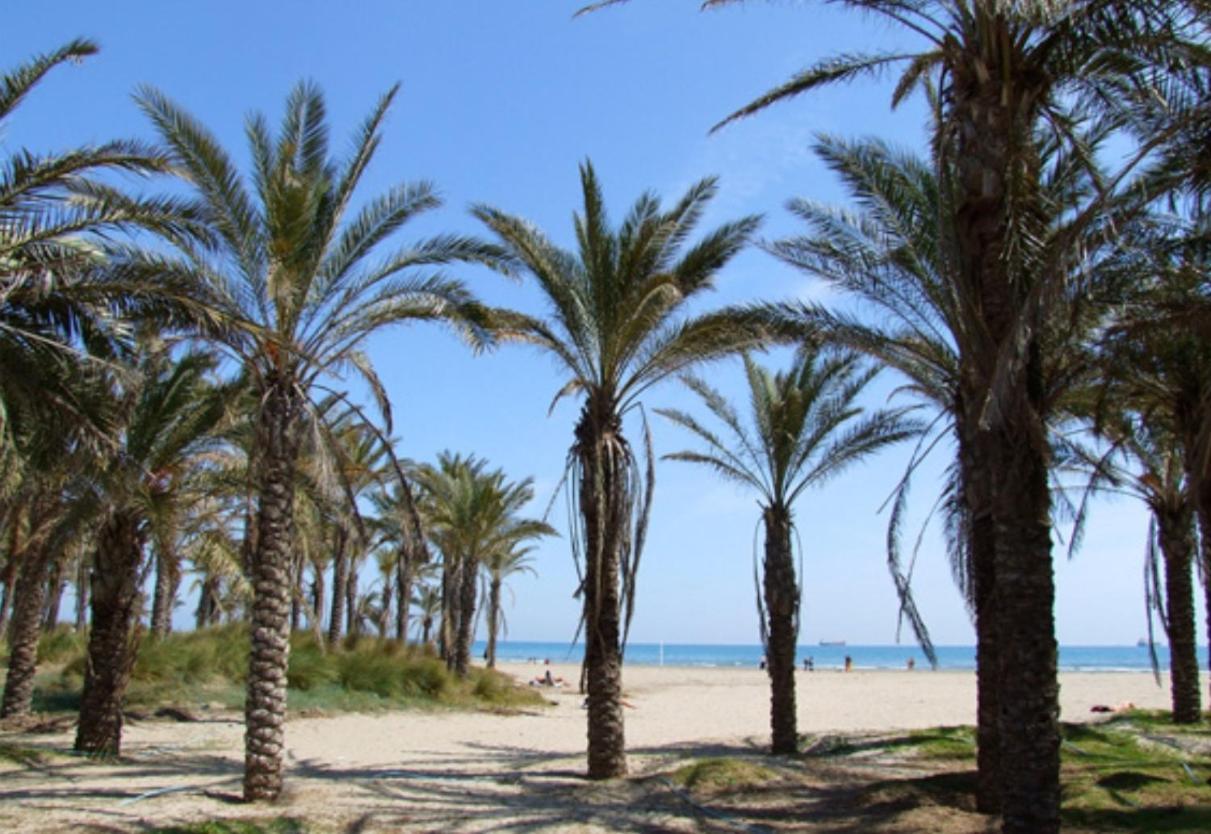 Nuevo En Calle Useras Καστεγιόν δε λα Πλάνα Εξωτερικό φωτογραφία